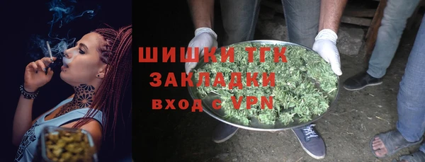 гашик Осинники
