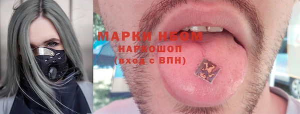 гашик Осинники