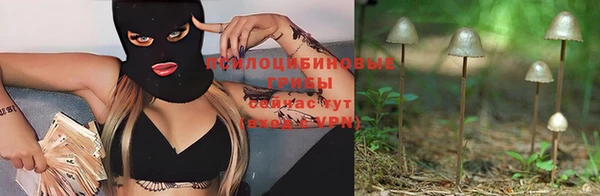 гашик Осинники