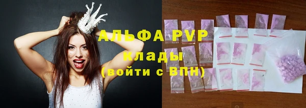 гашик Осинники