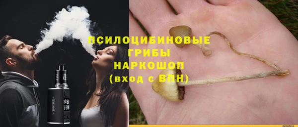 тгк Ельня