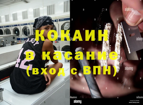 гашик Осинники