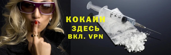гашик Осинники