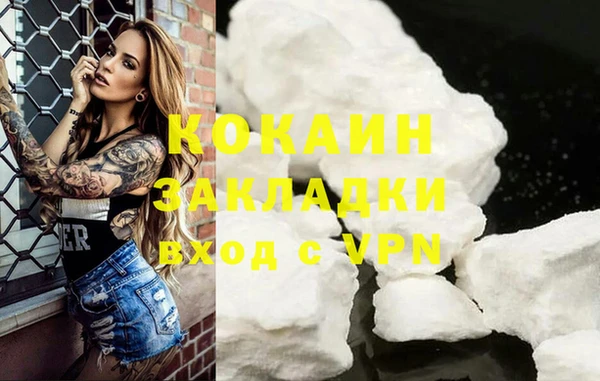 гашик Осинники