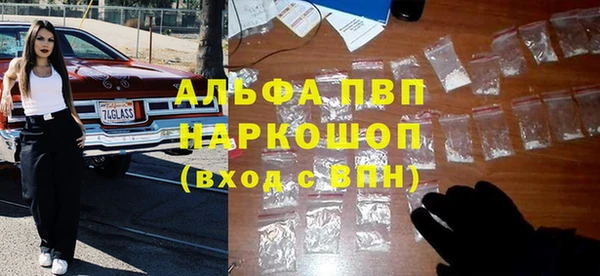 гашик Осинники