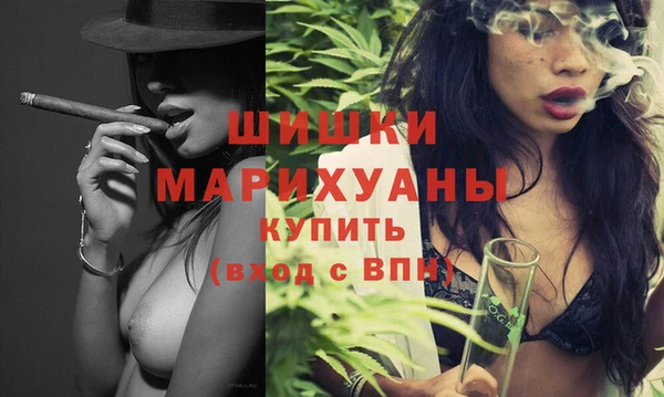 гашик Осинники
