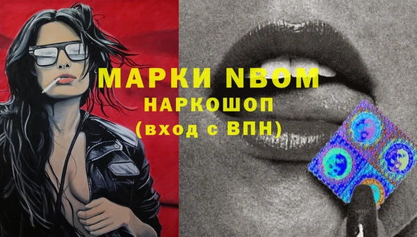 амф Заволжье